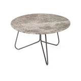 Tracy Coffee Table 24" ASH