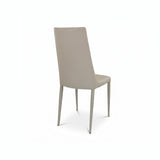 Aloe Dining Chair