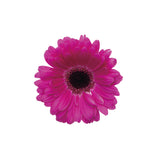 178086206-40" Opera d'arte acrilica