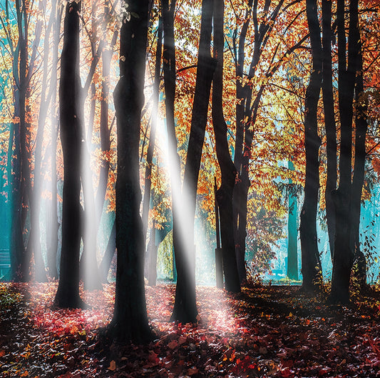 1799-2 Opera d'arte acrilica