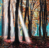 1799-2 Acrylic Artwork