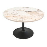 Marisa 30" Coffee Table Top PATAGONIA