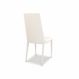 Aloe Dining Chair