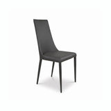Aloe Dining Chair