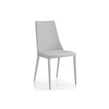 Aloe Dining Chair