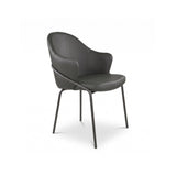 Brandi Dining Chair