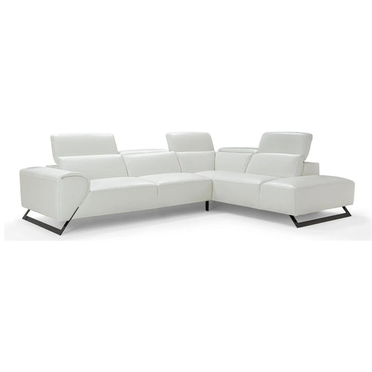 Ricci Sectional