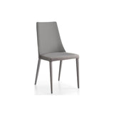 Aloe Dining Chair