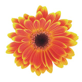 47199040-40 Opera d'arte acrilica