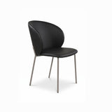 Melodi Dining Armchair