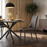 Aloe Dining Chair