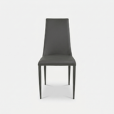 Aloe Dining Chair