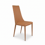 Aloe Dining Chair