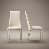 Aloe Dining Chair