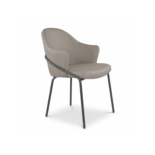Brandi Dining Chair