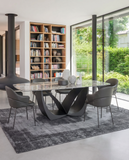 Brandi Dining Chair