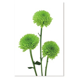 106284128 Acrylic Artwork