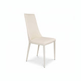 Aloe Dining Chair