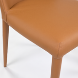 Aloe Dining Chair