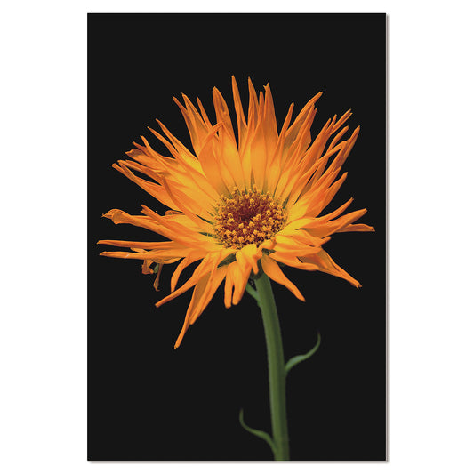 313267673-30" Acrilico Opera d'arte floreale