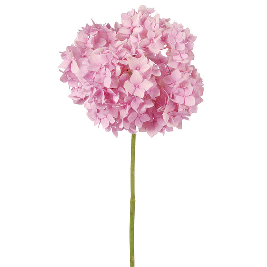 318718511-36 Opera acrilica ROSA