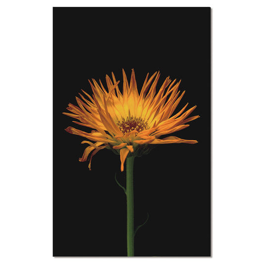 333630994-40" Acrylic Artwork Floral