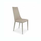 Aloe Dining Chair