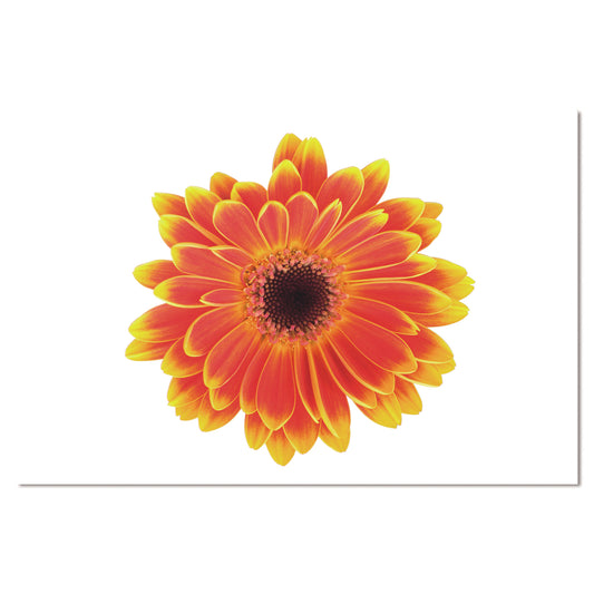 47199040-60 Opera d'arte acrilica