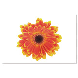 47199040-60 Acrylic Artwork