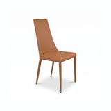 Aloe Dining Chair