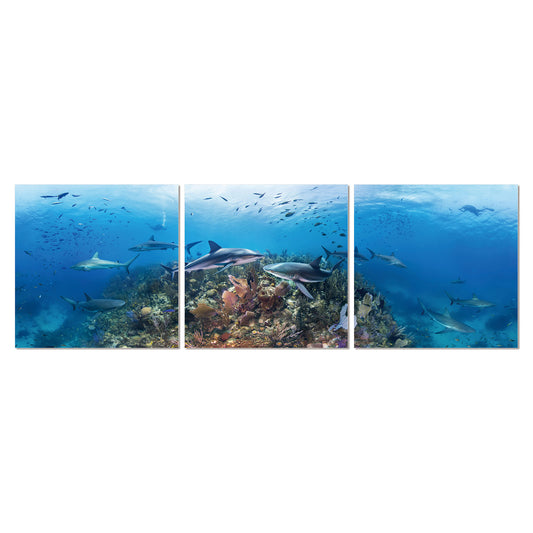 72688 3-Panel Acrylic Artwork