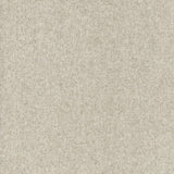 ALPACA 062