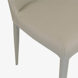 Aloe Dining Chair