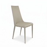 Aloe Dining Chair