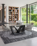 Brandi Dining Chair