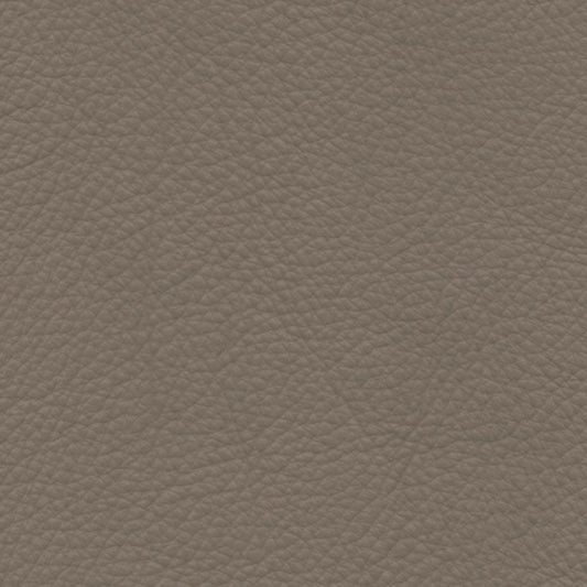 CAT 35 COL 35631 WALL