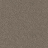 CAT 35 COL 35631 WALL