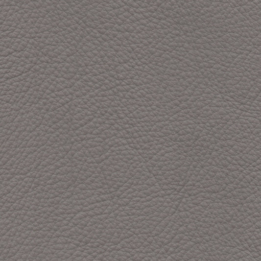 CAT 35 COL 35631 WALL