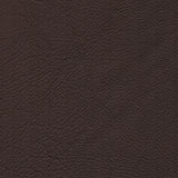 CAT 35 COL 35633 CHOCOLATE