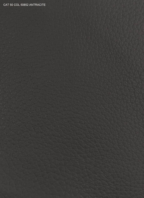 CAT 50 COL 50852 ANTRACITE