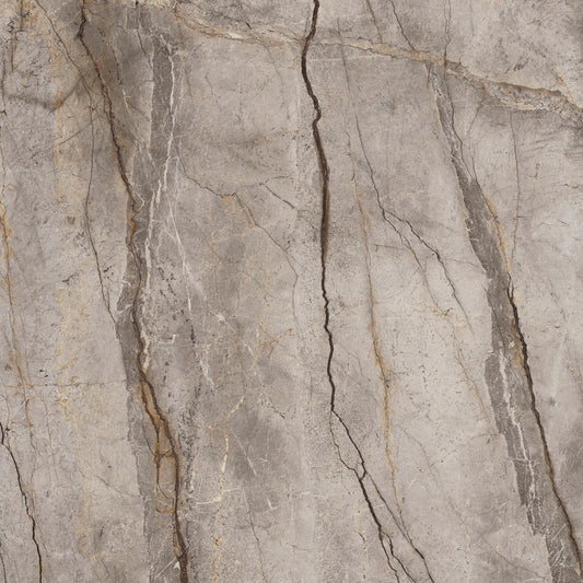 Silver Root Ceramic Top