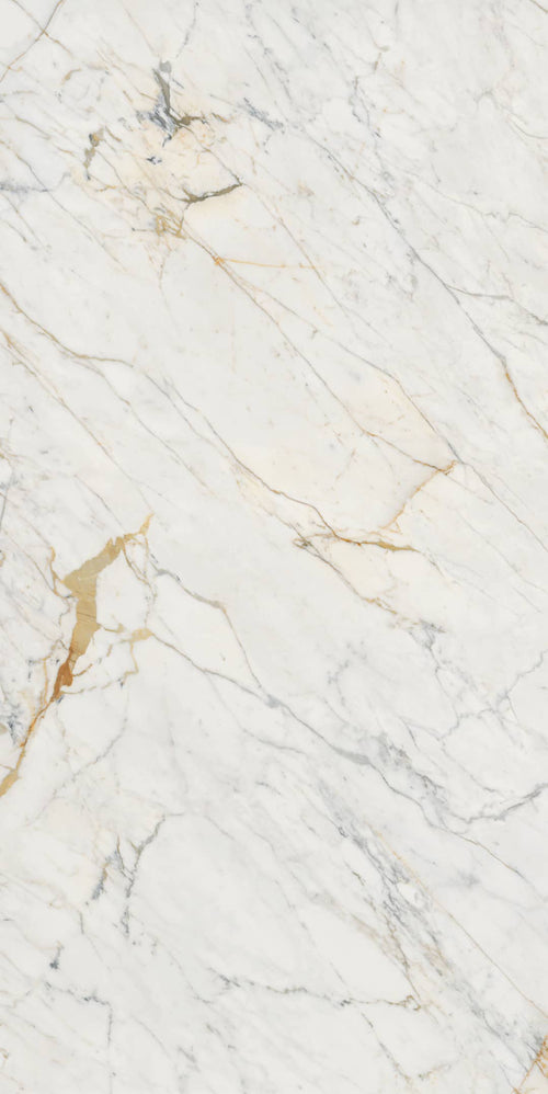 Golden White