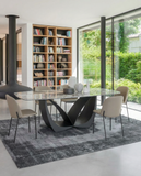 Melodi Dining Chair