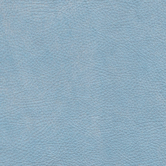 Maya Light Blue 7317