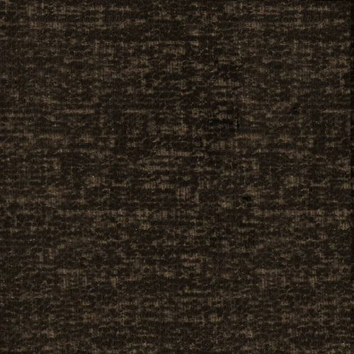 POODLE 006