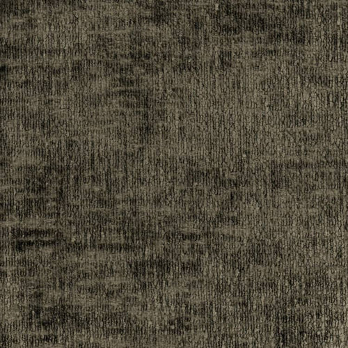 POODLE 059