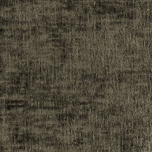 POODLE 059