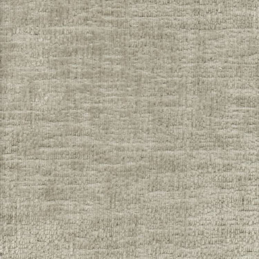 POODLE 061